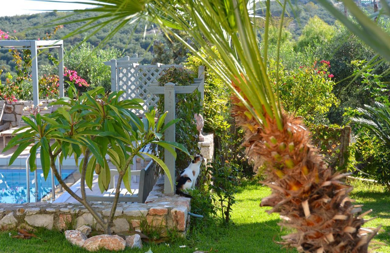 Villa Europa Darmarochori Exterior foto